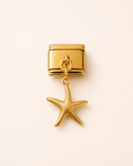 charm etoile de mer