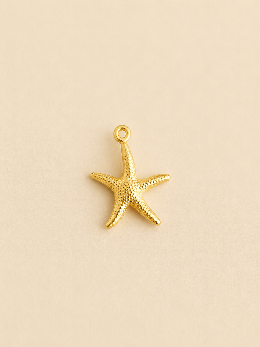 charm étoile de mer