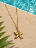 Collier étoile du ferret
