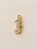 Charm hippocampe