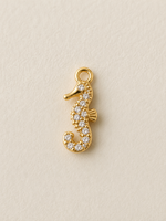 Charm hippocampe